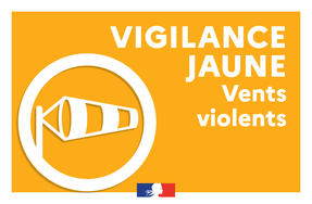 vigilance jaune vent violent