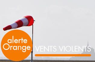 Vigilance orange pour vents forts dans le departement