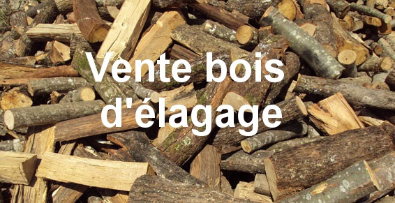 bois elagage